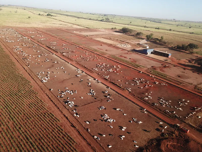 Vista aérea dos currais e da estrutura do Confinamento 2M