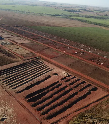Leiras de composto orgânico produzido pelo Confinamento 2M
